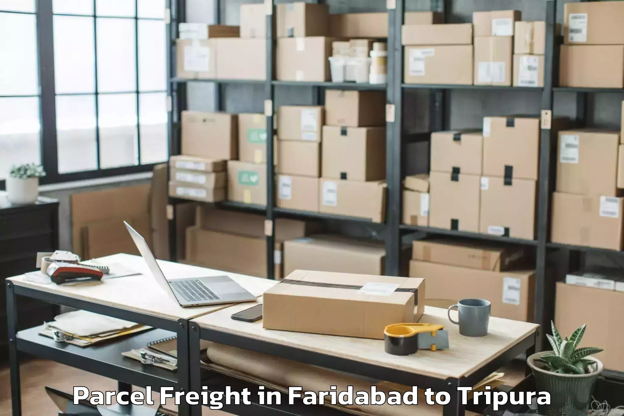 Expert Faridabad to Iiit Agartala Parcel Freight